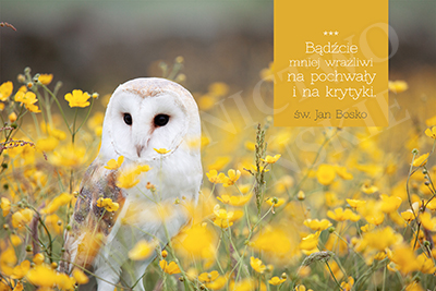 Bądźcie mniej wrażliwi