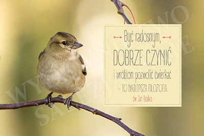 Być radosnym, dobrze czynić...