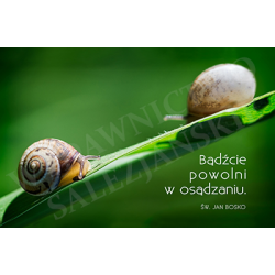 Bądźcie powolni w osądzaniu