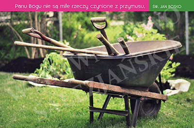 Panu Bogu nie są...