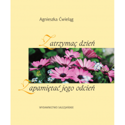 Zatrzymać dzień. Zapamiętać jego odcień