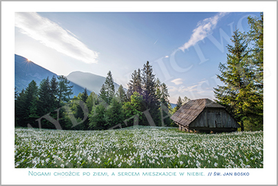 Nogami chodźcie po ziemi...