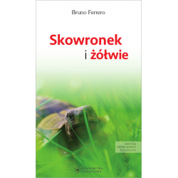 Skowronek i żółwie